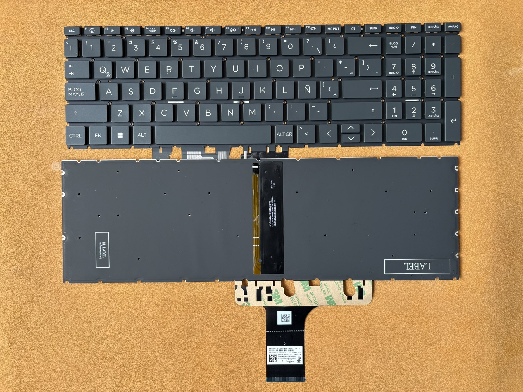 15-FC BACKLIT.jpg 15-FC BACKLIT.jpg